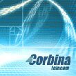 Logo Corbina Telekom (Quelle corbina.ru)