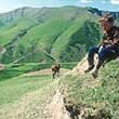 Umkämofte Berge - Russen, Türken und Perser führten Kriege um den Kaukasus (Foto: Korotowskaja)